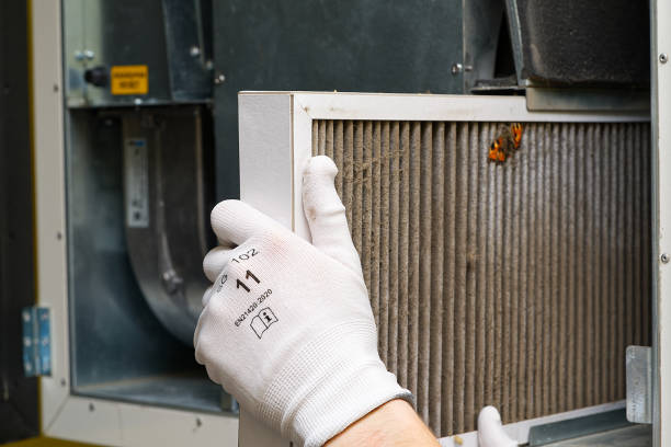Best Air Quality Test  in Grandview, IL