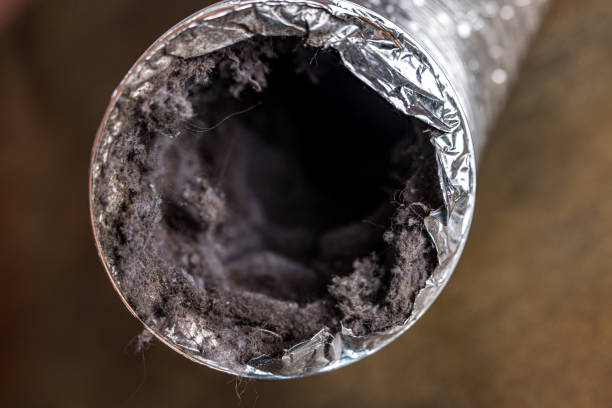 Best Affordable HVAC Duct Cleaning  in Grandview, IL